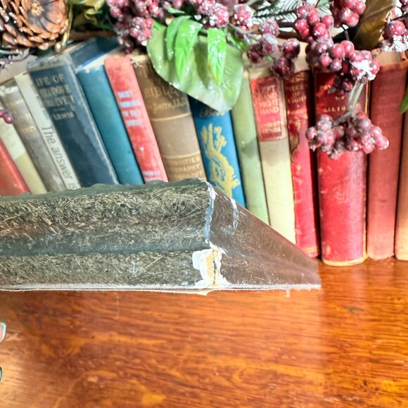 Vintage Portrait of Giuliano de' Medici (1479–1516), Duke of Nemours by Raphael - Picture 10 of 14